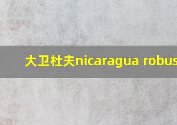 大卫杜夫nicaragua robusto